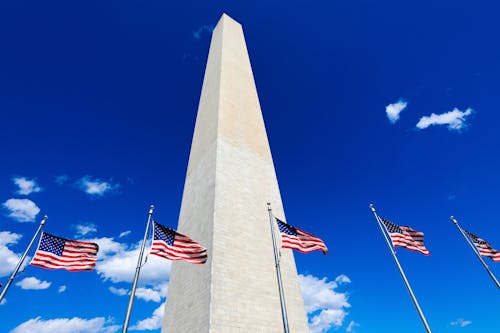 The washington monument with american flags in the background