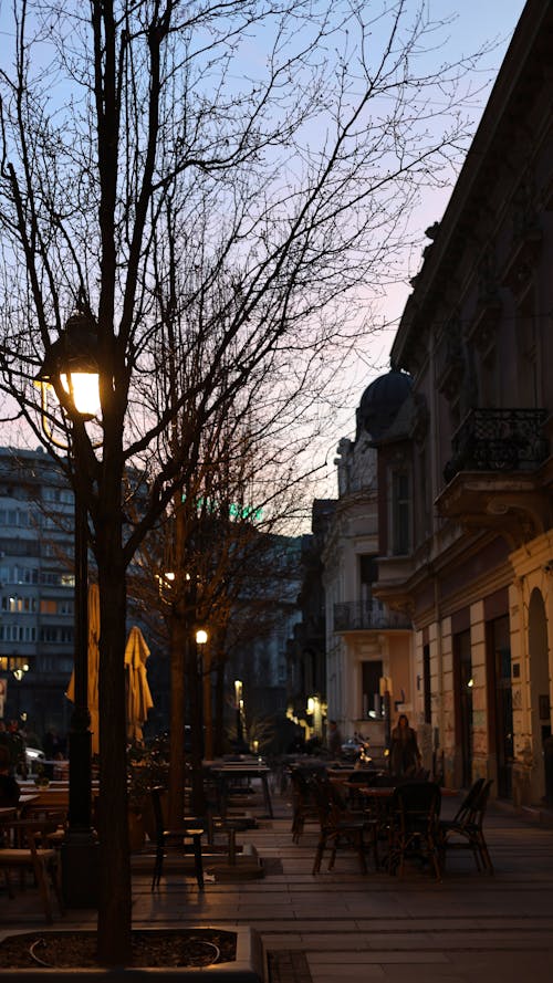 Free stock photo of at night, buildings, café