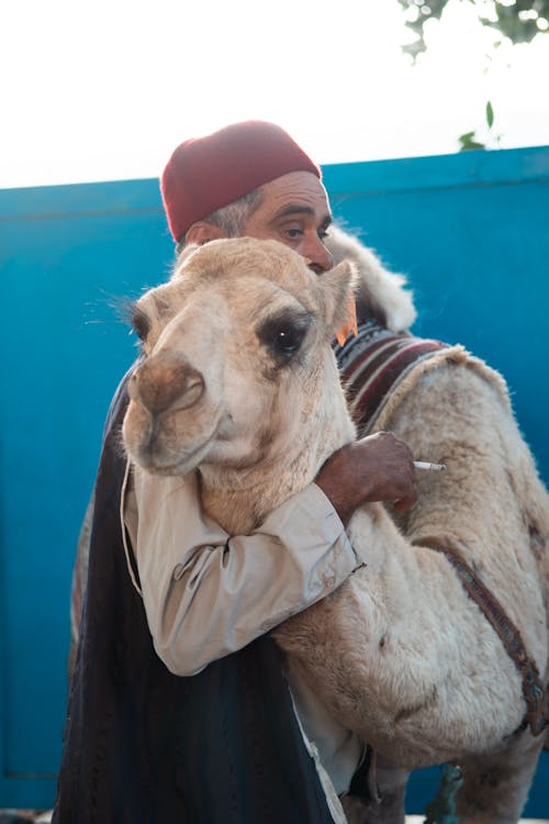 camel-portrait-with-owner