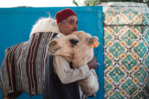 Free A man in traditional attire embraces a camel in La Marsa, Tunisia. Stock Photo