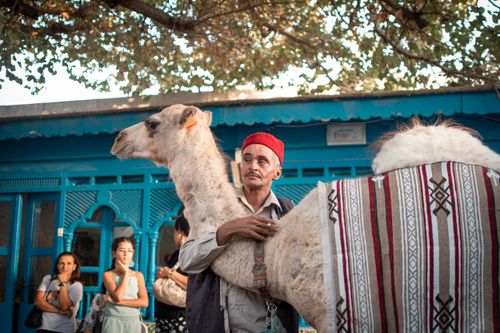 Free A man in traditional attire stands with a camel in La Marsa, Tunisia. Stock Photo