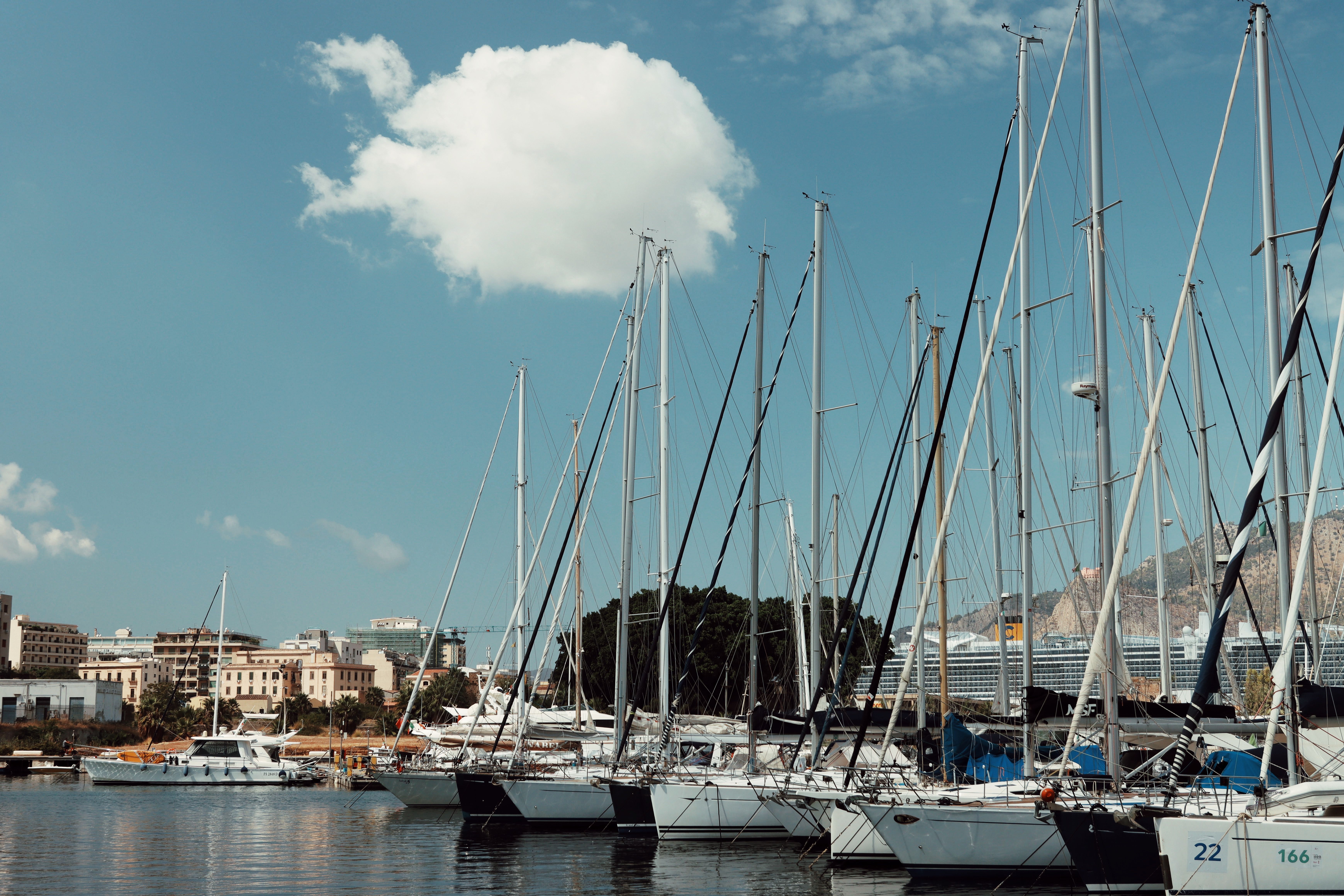 A stunning view of sailboats docked at Palermo Marina with a clear blue sky and cityscape backdrop.
