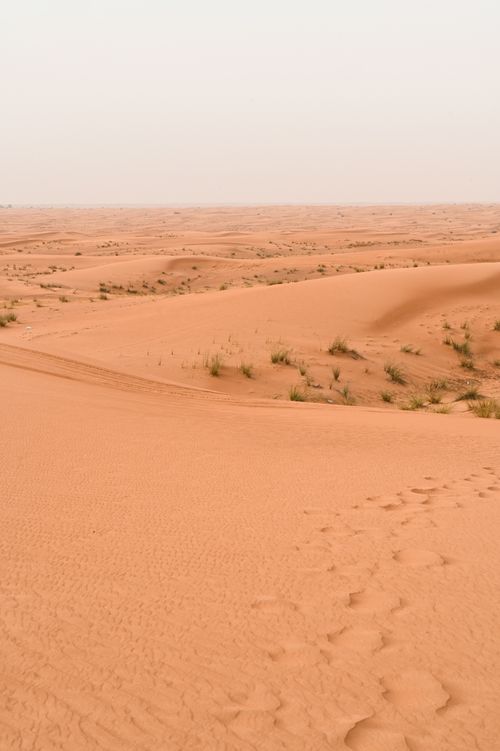 Free Explore the tranquil beauty of Dubai's desert with vast sand dunes under the clear sky. Stock Photo