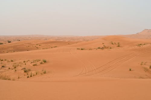 Darmowe zdjęcie z galerii z czerwony piasek, dubaj, krajobraz