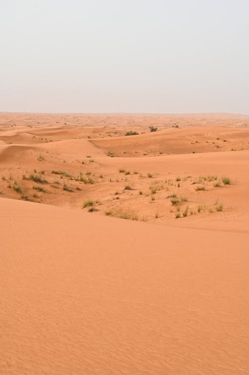 オレンジ色の砂, サハラ, サファリの無料の写真素材