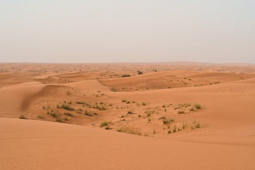 Darmowe zdjęcie z galerii z czerwony piasek, dubaj, krajobraz