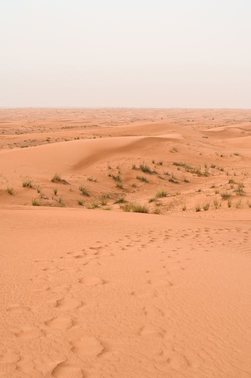 가뭄, 건조한, 경치의 무료 스톡 사진