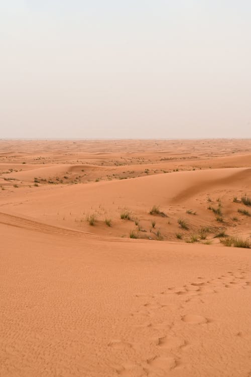 オレンジ色の砂, サハラ, ドバイの無料の写真素材