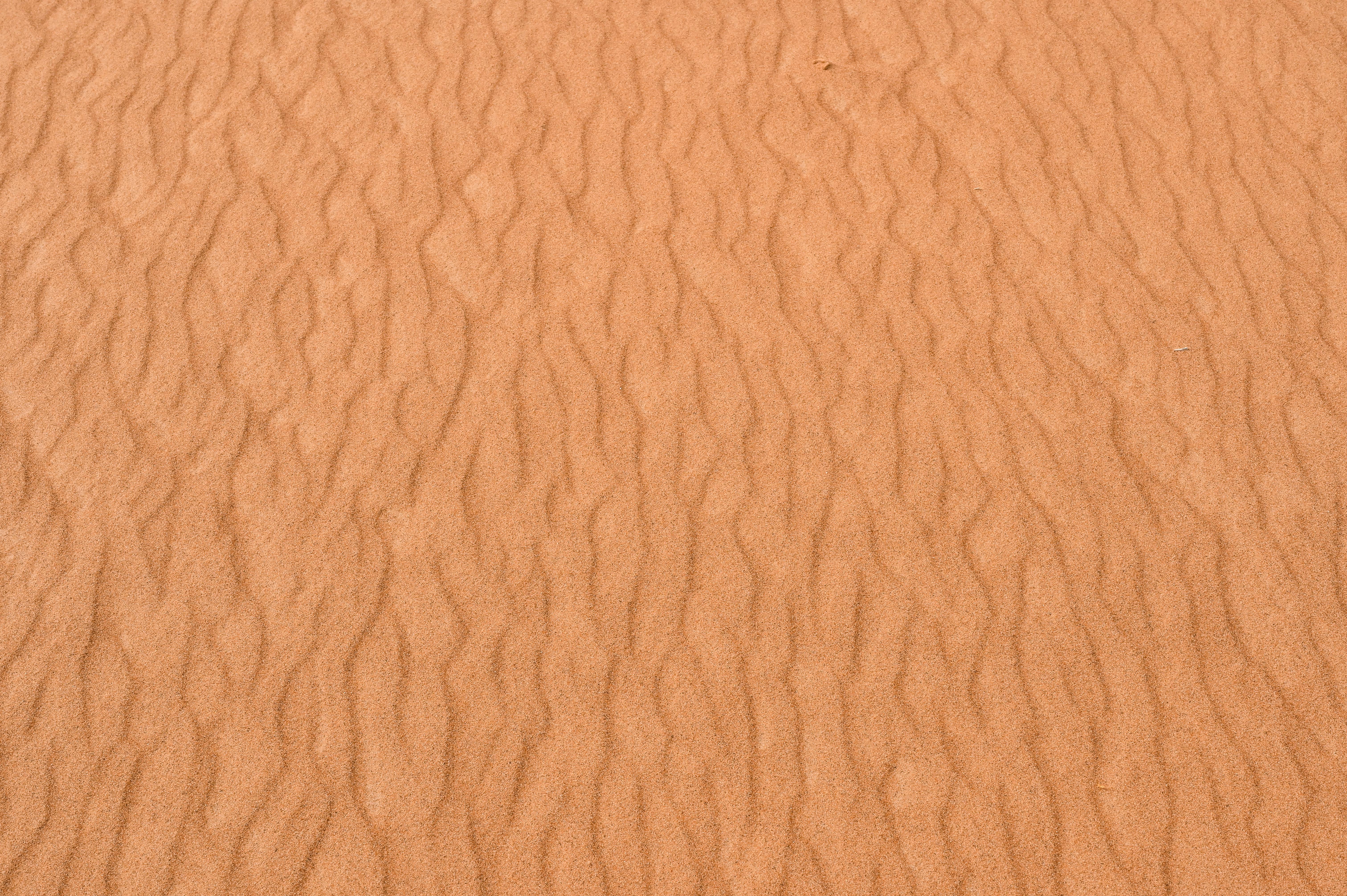 Gratis Immagine gratuita di arancia, arido, asia Foto a disposizione