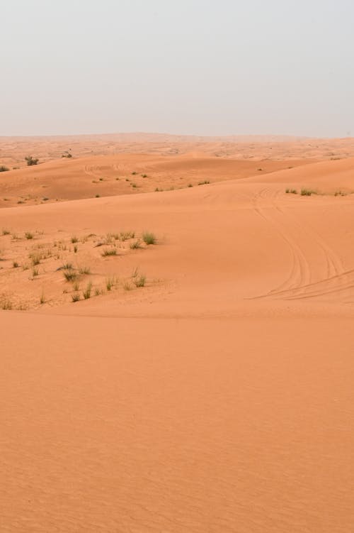 Základová fotografie zdarma na téma červený písek, cestování, Dubaj