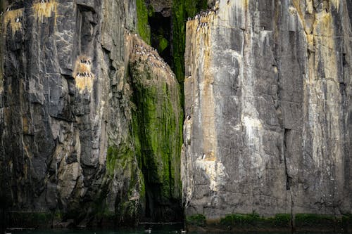 困難, 岩石, 懸崖 的 免費圖庫相片