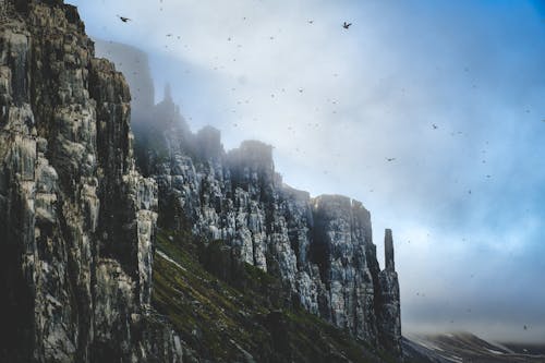 A bird flies over a cliff with a foggy sky