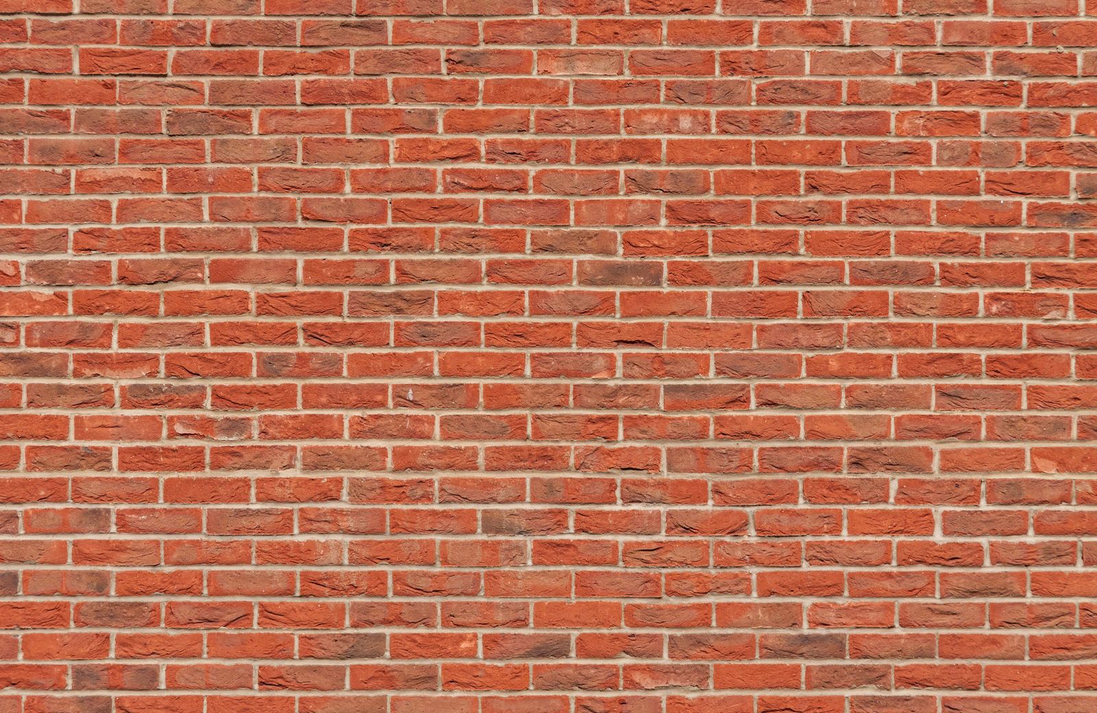 Walls & floors project