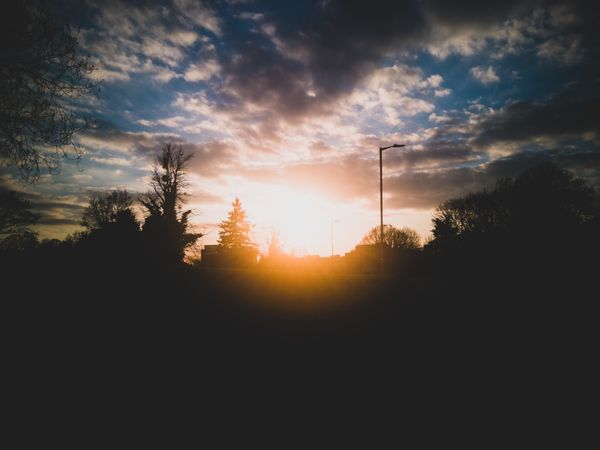 pexels photo 2071423