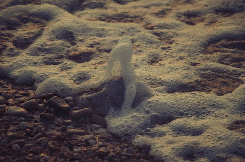 Close Up of Rocks on a Beach