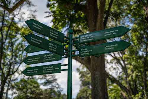 A green directional sign with a tree in the background
