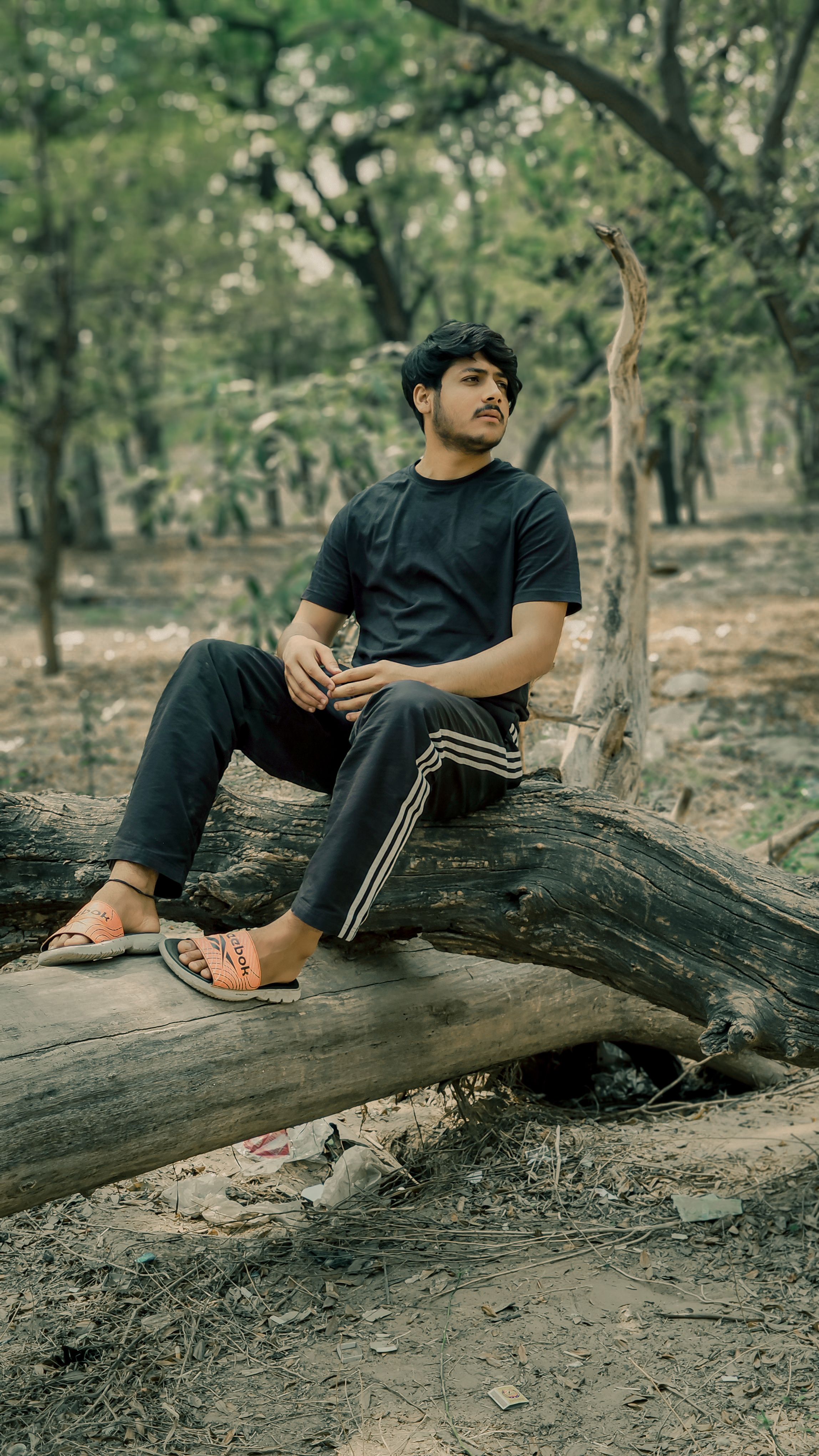 Un Viajero Hombre Excursionista Aventura En El Bosque Viajar Estilo De Vida Activo 368683963