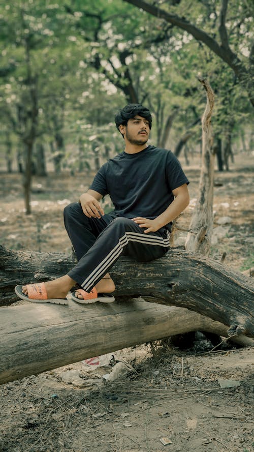 Man Sitting on Tree Trunk in Forest 