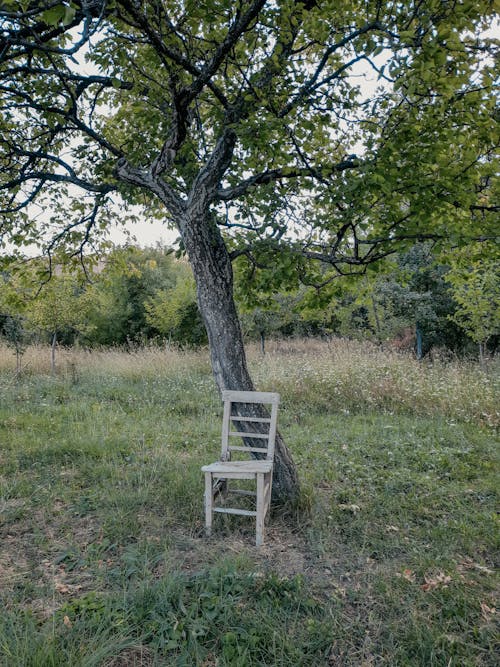 垂直拍攝, 景觀, 椅子 的 免費圖庫相片