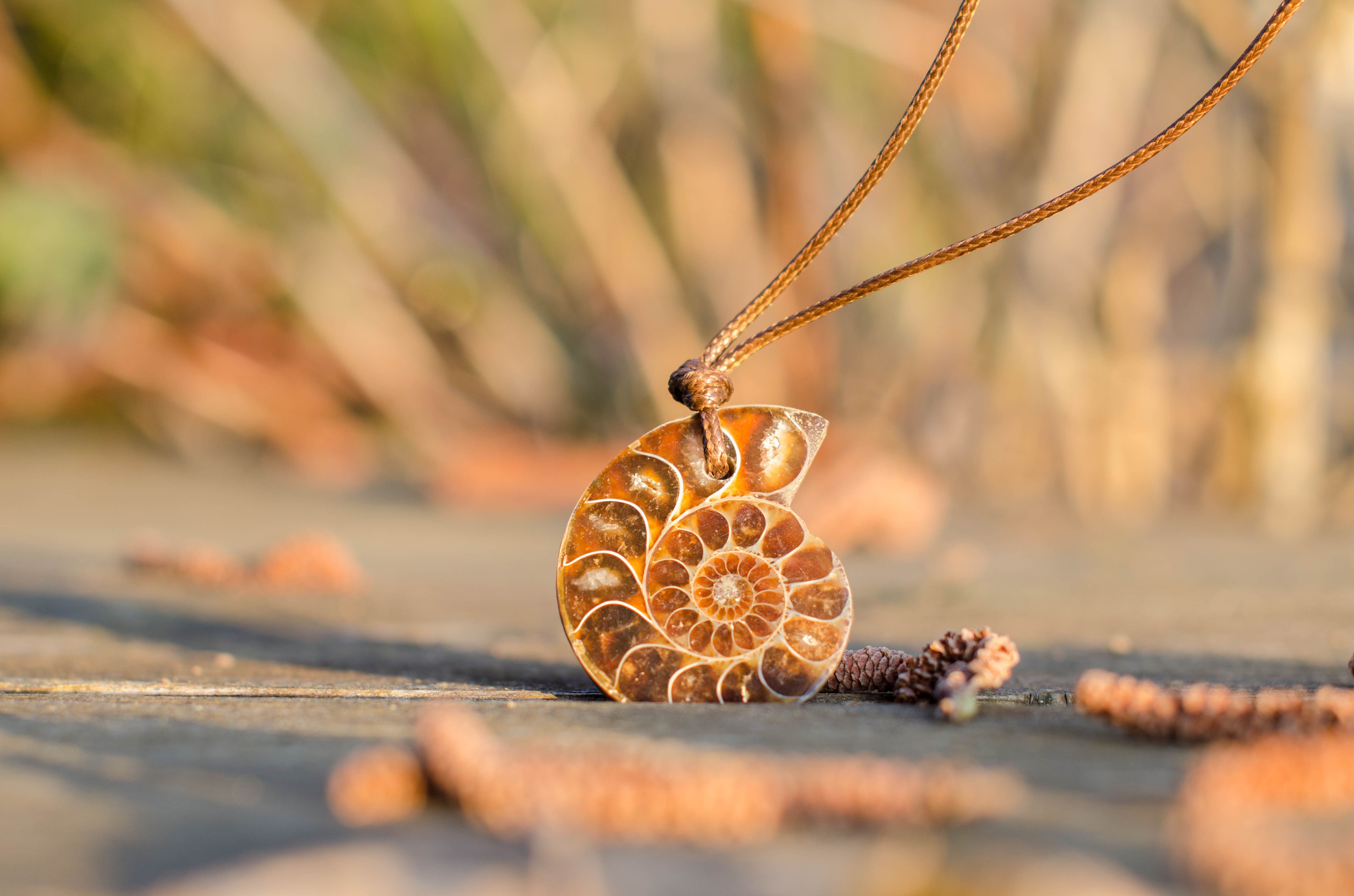Close-up of a nautilus shell pendant on a wooden surface outdoors in sunlight.