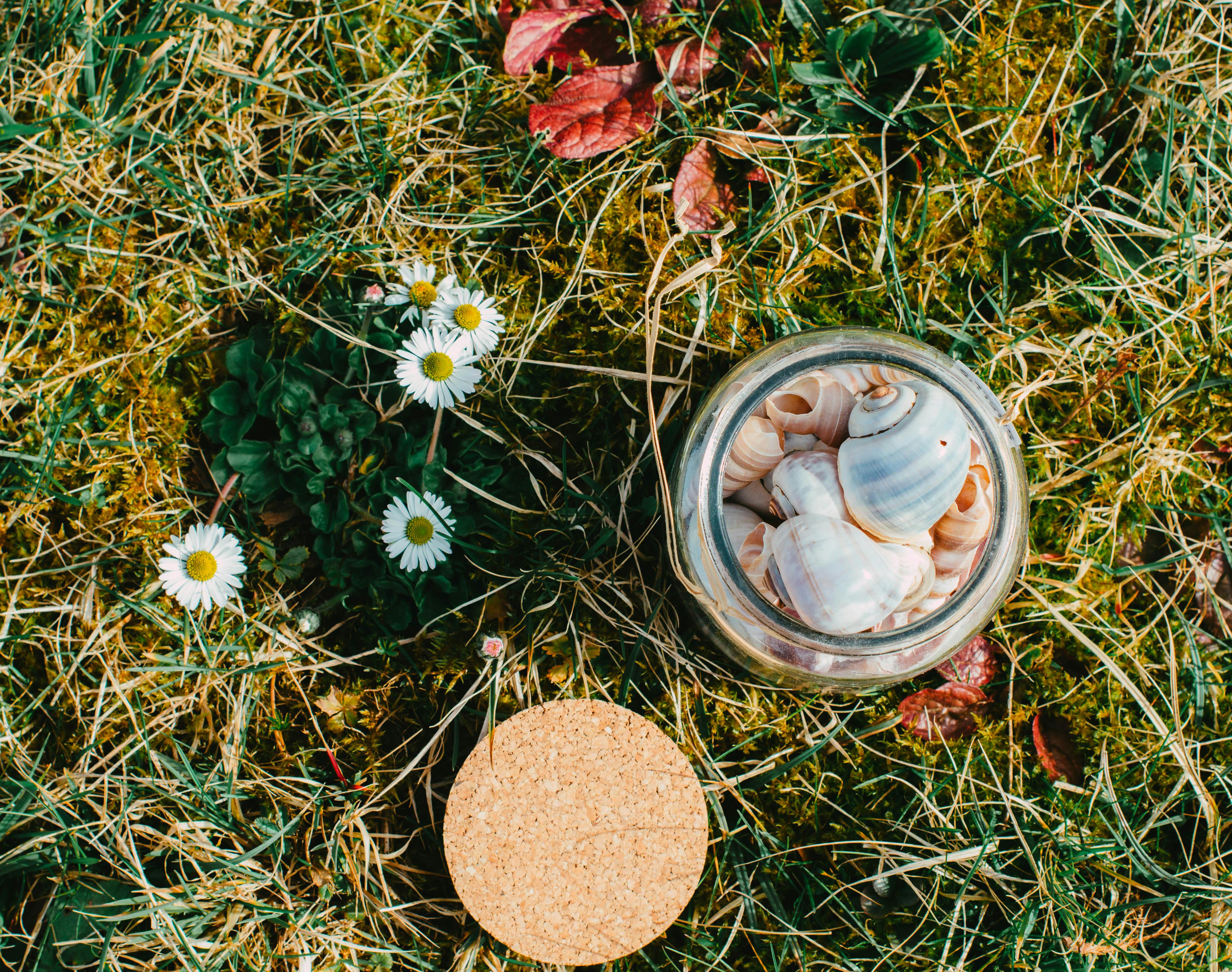 Pexels Photo 20715432