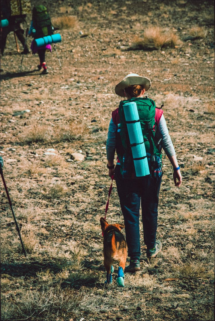 Woman Walking With Brown And Black Dog