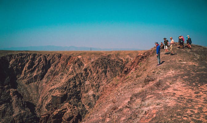 Scotts Turf Builder Triple Action lush lawn showing deep green color and healthy turf in 2026