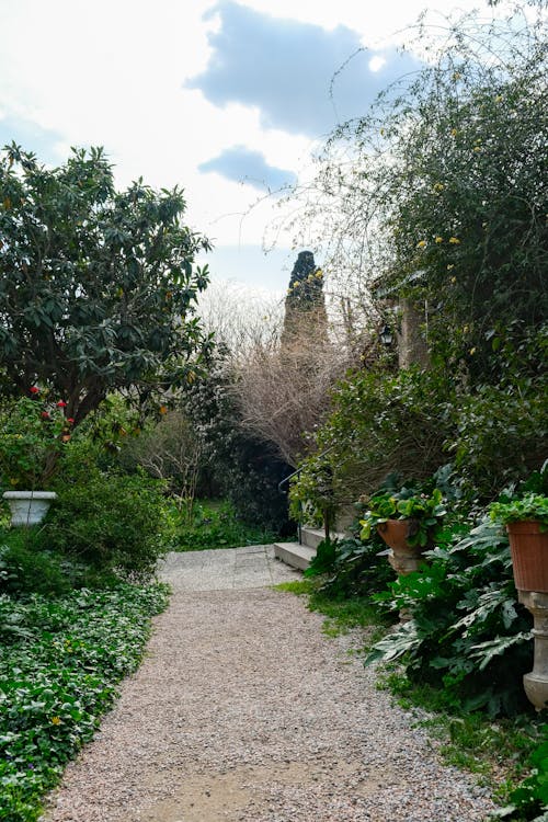 A path leads to a garden with potted plants