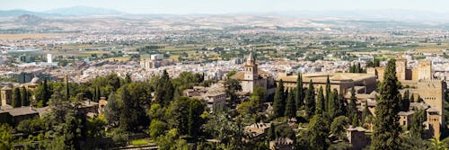 Alberi Verdi E Fotografia Ad Alto Angolo Di Edifici Della Città