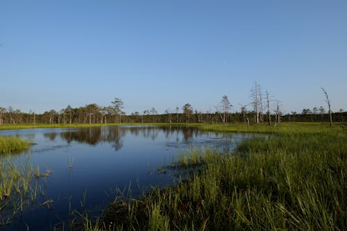 Ilmainen kuvapankkikuva tunnisteilla järvi, kirkas taivas, luonto