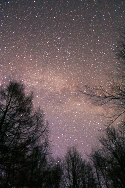 宇宙, 明星, 晚上 的 免费素材图片