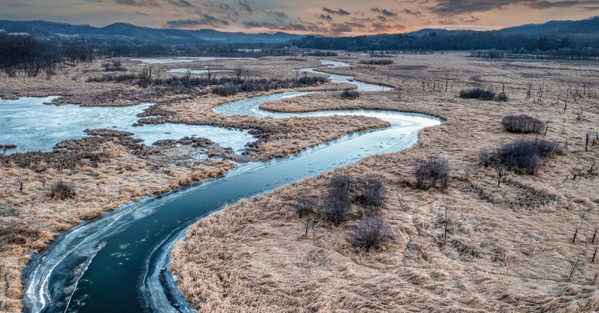 Mastering the Basics: Composition Techniques for Artists