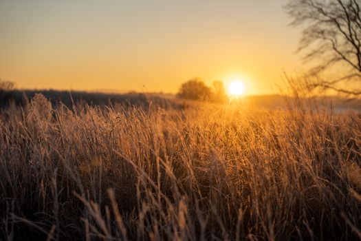 A serene sunset illuminates the frost-covered grasslands of West Newton, MN, USA.