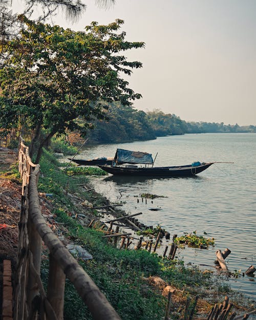 Δωρεάν στοκ φωτογραφιών με βάρκα, δασικός, δέντρα