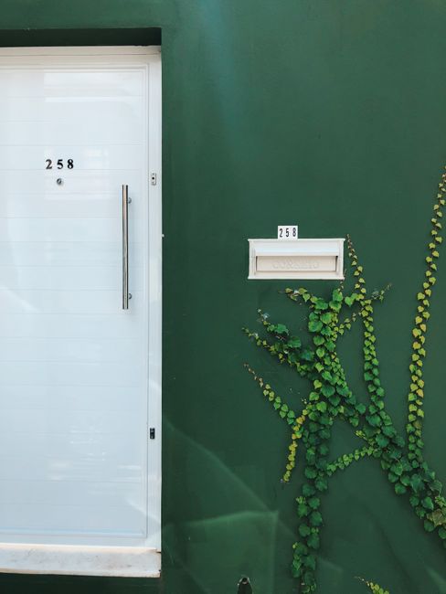 Close-up of a modern green wall with a white door, mailbox, and creeping vines, creating a fresh design.