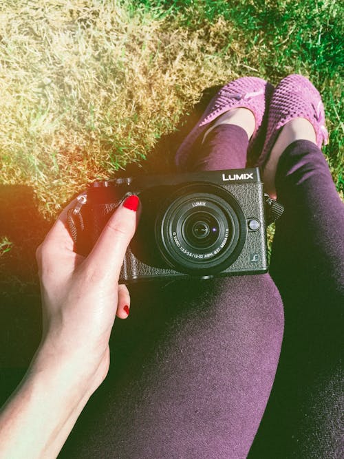 Free Person Holding Black Lumix Point-and-shoot Camera Stock Photo