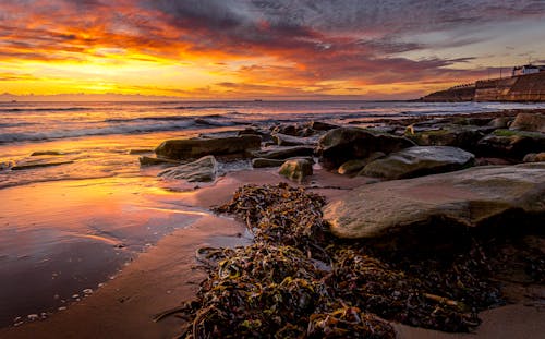 Foto profissional grátis de corroído, costa, litoral