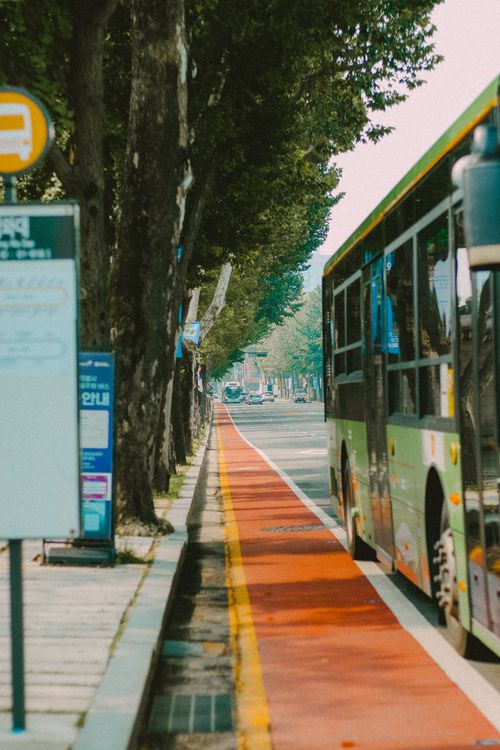Free City street featuring a bus and marked bicycle lane under trees. Stock Photo