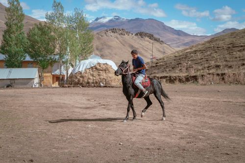 Free A boy riding a horse in a mountainous area of Van, Türkiye on a sunny day. Stock Photo