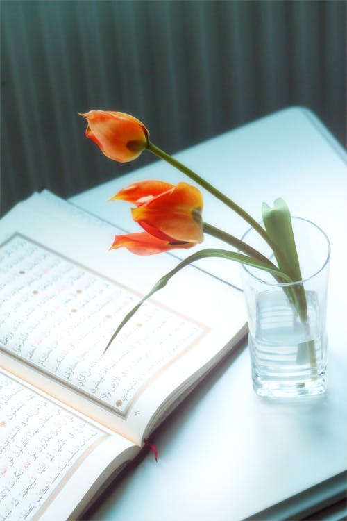 A book with a vase of flowers on it
