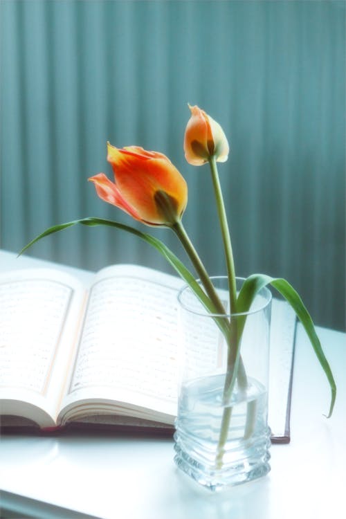 A book with an open page and a vase of flowers