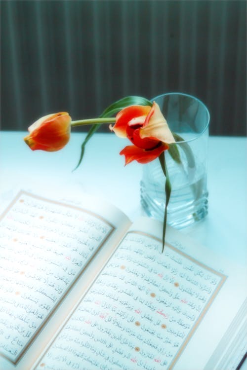 A book with a flower in it and a vase