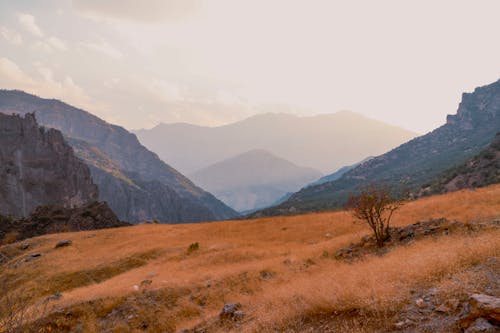 Imagine de stoc gratuită din arid, lanț montan, luncă