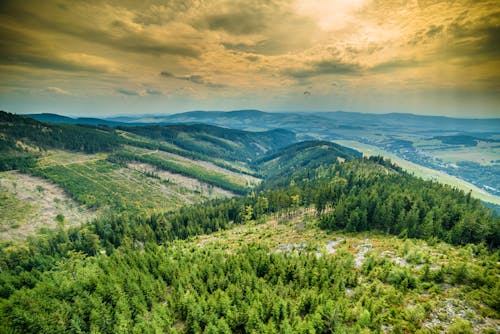 Бесплатное стоковое фото с гора, лес, облако