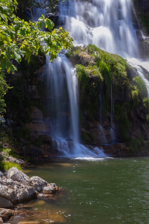 Foto profissional grátis de água, ao ar livre, árvore