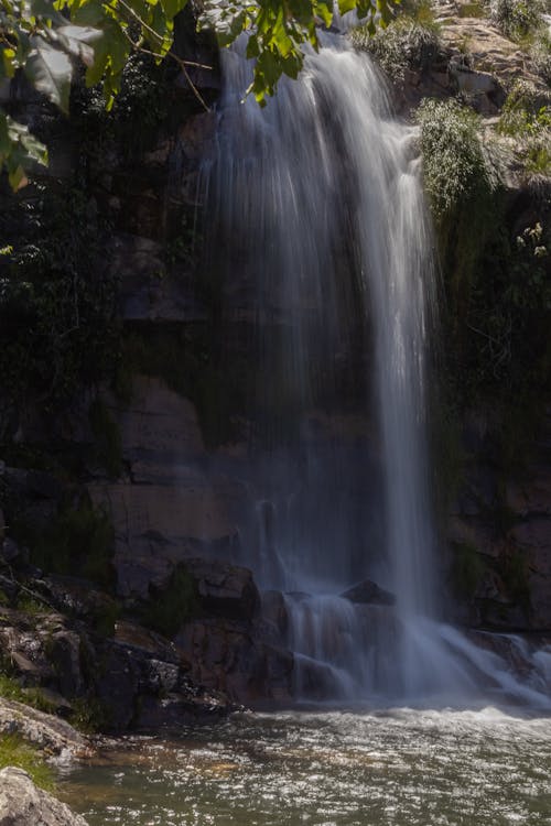 Foto profissional grátis de água, ao ar livre, árvore