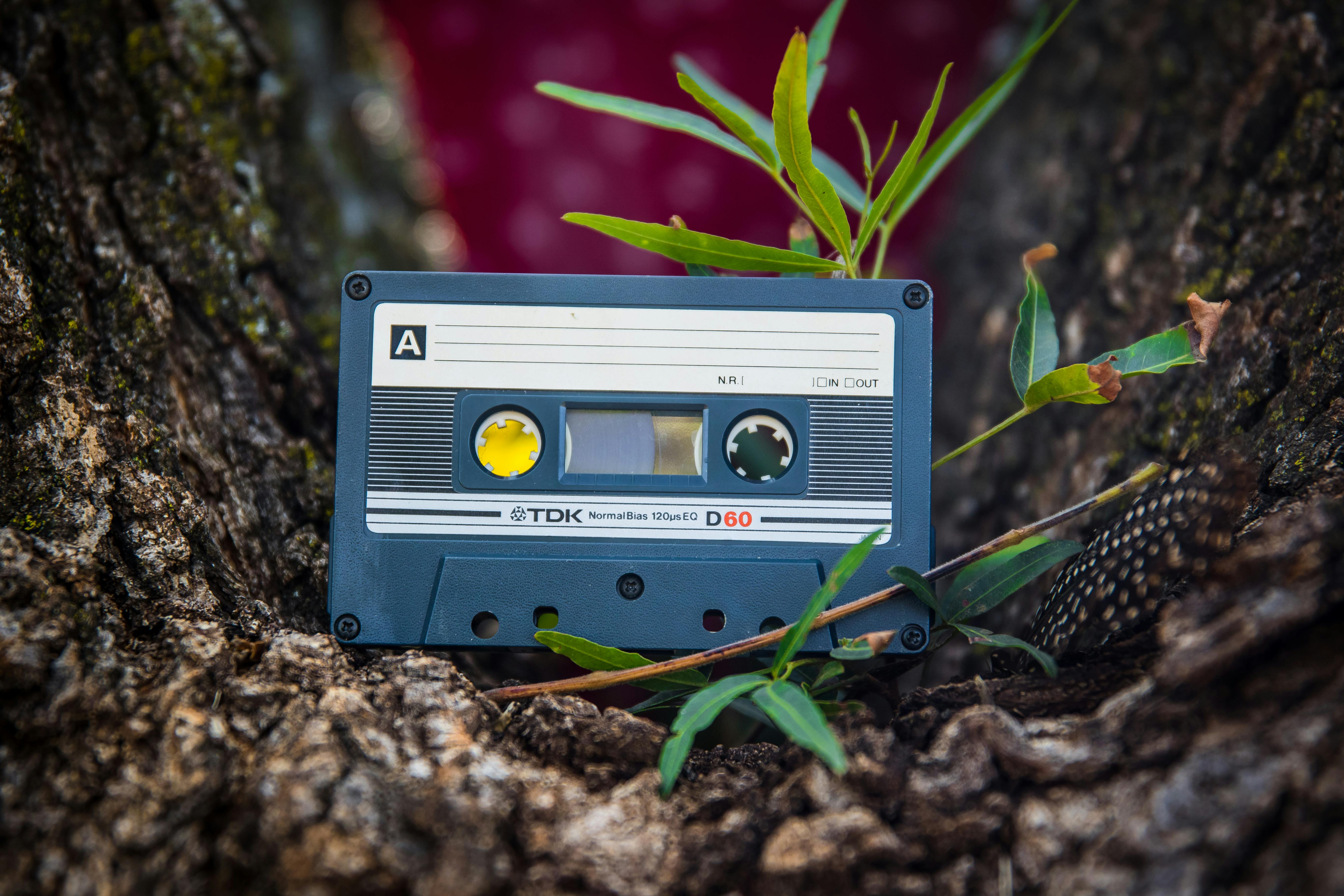 shallow focus photo of blue cassette tape