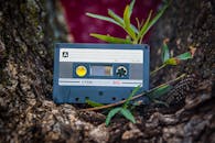 特写：户外被树皮和草丛包围的老式盒式磁带