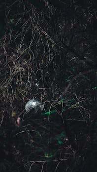 A disco ball mysteriously hangs amidst dense, dark forest branches at night.
