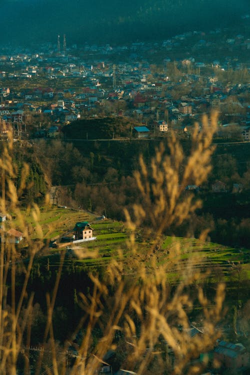 丘陵, 垂直拍摄, 景觀 的 免费素材图片